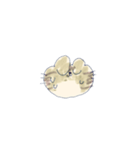 猫田のスタンプ7▼（個別スタンプ：36）