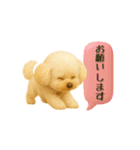 いろんなわんちゃん日常スタンプ（個別スタンプ：23）