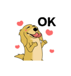 超ポジティブ犬（個別スタンプ：2）