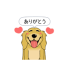 超ポジティブ犬（個別スタンプ：3）