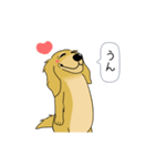超ポジティブ犬（個別スタンプ：7）