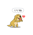 超ポジティブ犬（個別スタンプ：8）