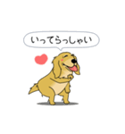 超ポジティブ犬（個別スタンプ：9）