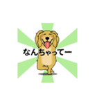 超ポジティブ犬（個別スタンプ：11）