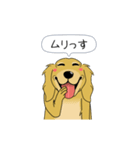 超ポジティブ犬（個別スタンプ：13）