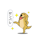 超ポジティブ犬（個別スタンプ：15）