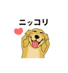 超ポジティブ犬（個別スタンプ：19）