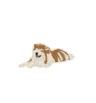 びっくりおめめのわんこたち（個別スタンプ：3）