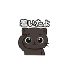 Meow,,,1（個別スタンプ：2）