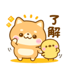 いろんな♡わんこ大集合（個別スタンプ：3）