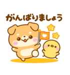 いろんな♡わんこ大集合（個別スタンプ：12）