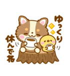 いろんな♡わんこ大集合（個別スタンプ：17）