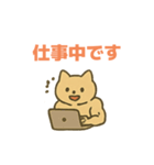 幸運のマッチョ猫（個別スタンプ：15）