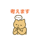 幸運のマッチョ猫（個別スタンプ：17）