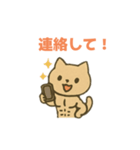 幸運のマッチョ猫（個別スタンプ：21）