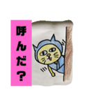 忍者猫ちゃびお（個別スタンプ：5）