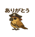 シュールな海賊の鳥のスタンプ 001（個別スタンプ：1）