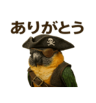 シュールな海賊の鳥のスタンプ 002（個別スタンプ：1）