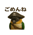 シュールな海賊の鳥のスタンプ 002（個別スタンプ：6）