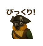 シュールな海賊の鳥のスタンプ 002（個別スタンプ：15）