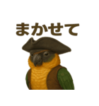 シュールな海賊の鳥のスタンプ 002（個別スタンプ：31）