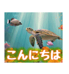 背景が動く！きらめく海の癒しスタンプ（個別スタンプ：8）
