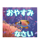 背景が動く！きらめく海の癒しスタンプ（個別スタンプ：24）