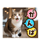 ねこ写真❤ポップで見やすい日常会話 3（個別スタンプ：21）