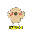 絶滅したモアのささやき（個別スタンプ：14）