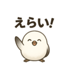 ずっと使える♡日常会話シマエナガちゃん（個別スタンプ：1）