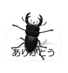 スマホの上のオオクワガタ2（個別スタンプ：3）