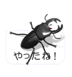 スマホの上のオオクワガタ2（個別スタンプ：14）