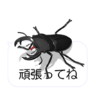 スマホの上のオオクワガタ2（個別スタンプ：15）