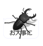 スマホの上のオオクワガタ2（個別スタンプ：20）