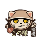224_台湾 - 日本 - ご挨拶-猫（個別スタンプ：3）