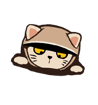 224_台湾 - 日本 - ご挨拶-猫（個別スタンプ：10）