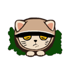 224_台湾 - 日本 - ご挨拶-猫（個別スタンプ：12）