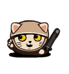 224_台湾 - 日本 - ご挨拶-猫（個別スタンプ：13）