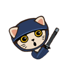 224_台湾 - 日本 - ご挨拶-猫（個別スタンプ：16）