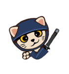224_台湾 - 日本 - ご挨拶-猫（個別スタンプ：17）