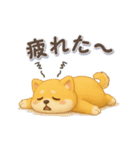 意外と使える柴犬さんのスタンプ（個別スタンプ：17）