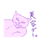 お猫様からひとことスタンプ（個別スタンプ：8）