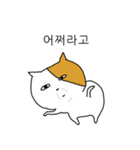 失礼すぎるネコ（個別スタンプ：1）