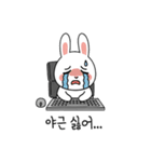働くウサギ (Korean version)（個別スタンプ：4）