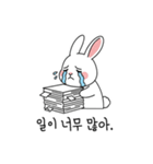 会社員ウサギの奮闘する日常 (KR ver.)（個別スタンプ：1）