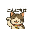 招き猫ちびちゃん（個別スタンプ：1）