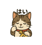 招き猫ちびちゃん（個別スタンプ：6）