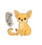 アクションk-gigi32（個別スタンプ：1）