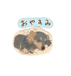 アクションk-gigi32（個別スタンプ：8）
