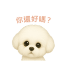 ビションフリーゼスタンプ【繁體字】（個別スタンプ：1）